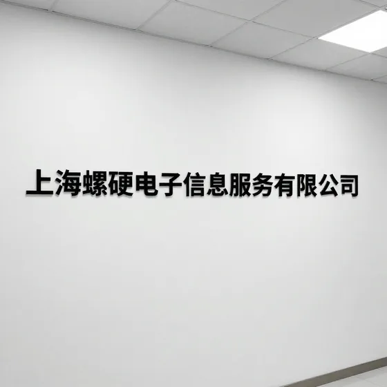 上海螺硬电子信息服务有限公司